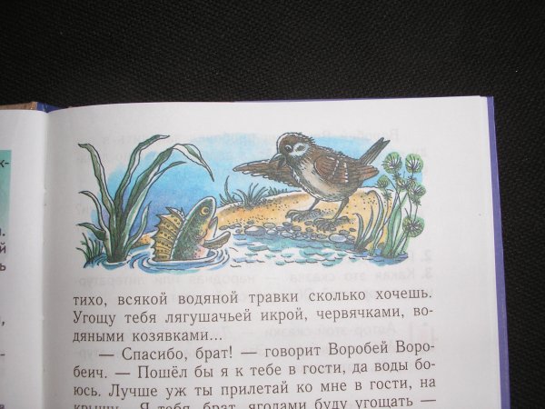 Н. мамин-Сибиряк "сказка про воробья Воробеича, ерша Ершовича"