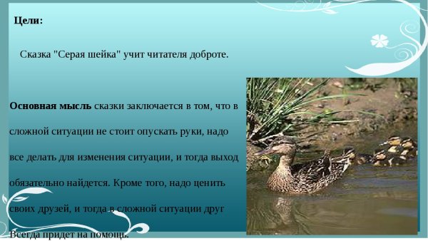 Серая шейка основная мысль