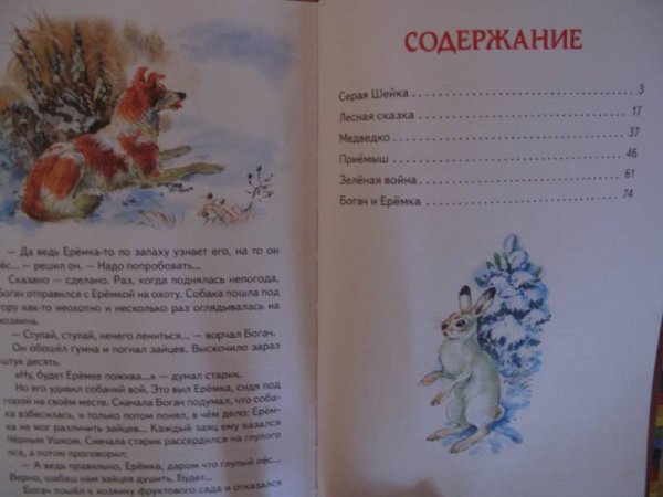 Мамин Сибиряк серая шейка количество страниц