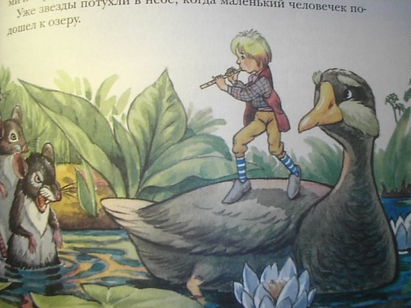 Сказка Нильс и Дикие гуси
