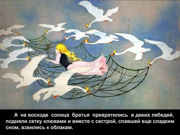 Дикие лебеди основная мысль