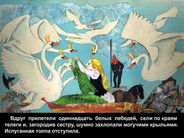 Дикие лебеди 1962