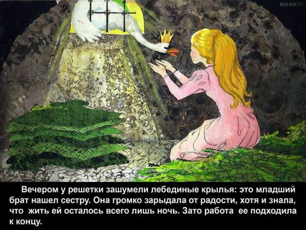 Дикие лебеди сказка Андерсена