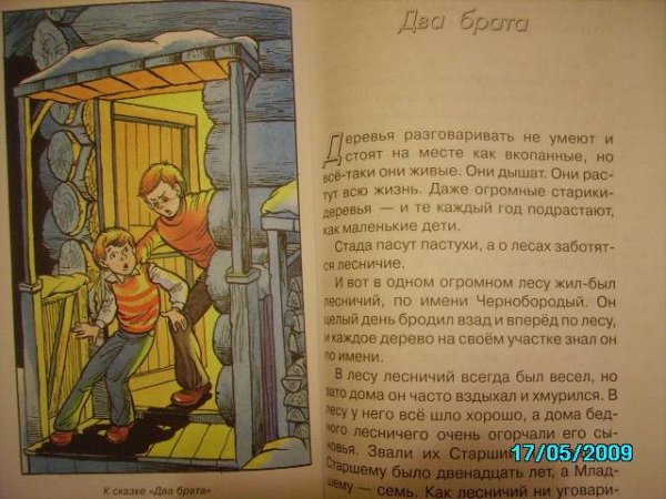 Два брата. Сказки.