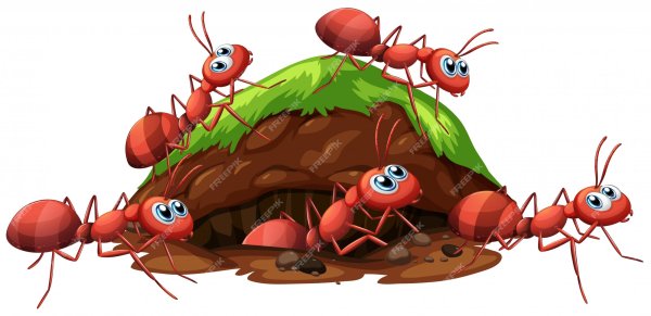 Муравейник мультяшный без фона