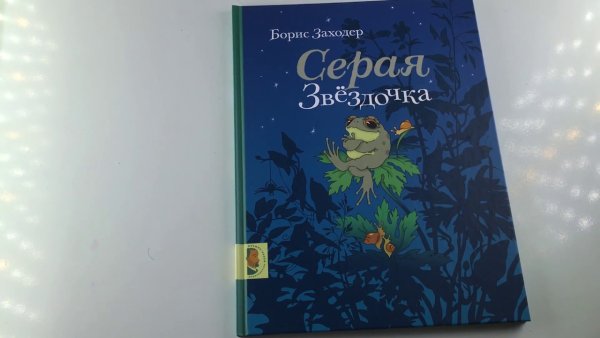 Серая Звездочка Мелик Пашаев