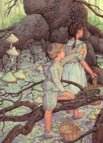 Книжная иллюстрация