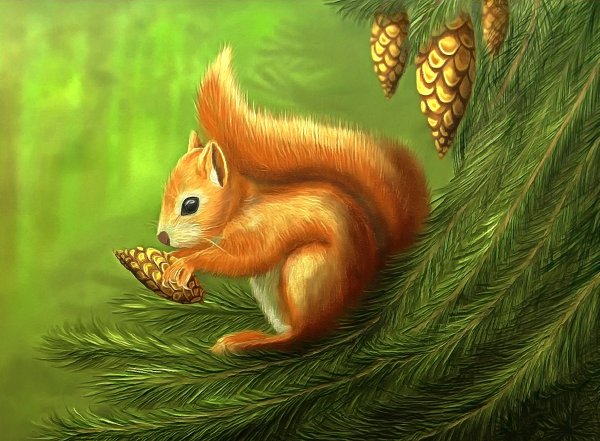 Белочка рисунок