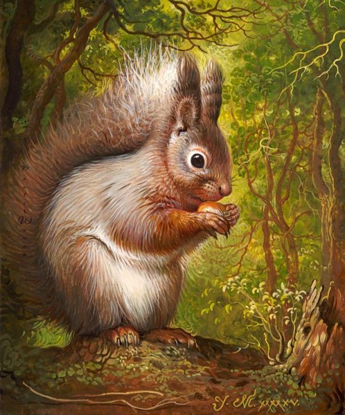 Мовчан художница Яна животные белки