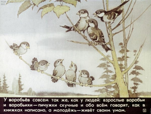 Сказки о воробьях для детей
