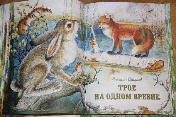 Книги о животных Сладков