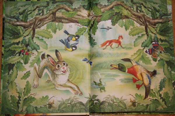 Иллюстрации к книгам Сладкова