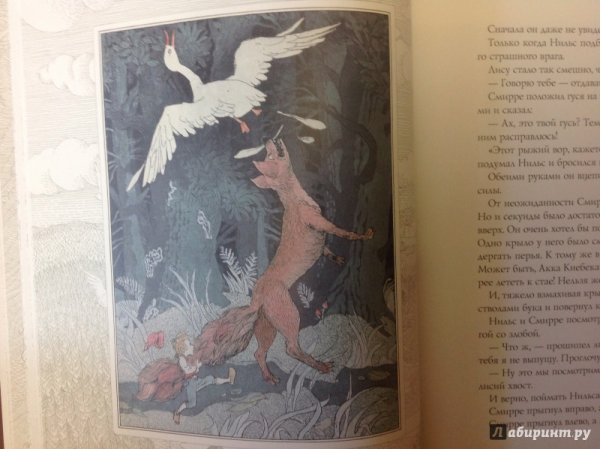 Иллюстрации к книге Нильс с дикими гусями
