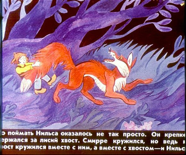 Мульт Нильс с дикими гусями Лис