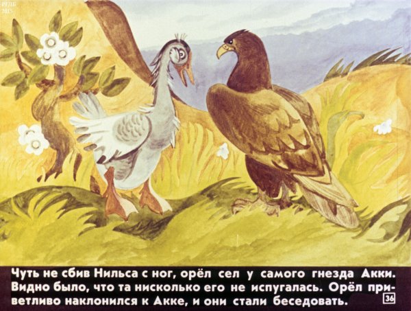 Орел Горго BP ghbrk.xtybz ybkmcf