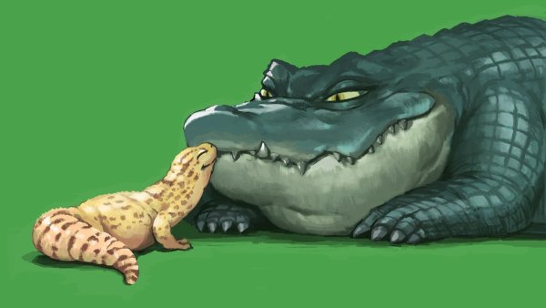 Крокодил арты