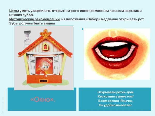 Упражнение окошко артикуляционная гимнастика