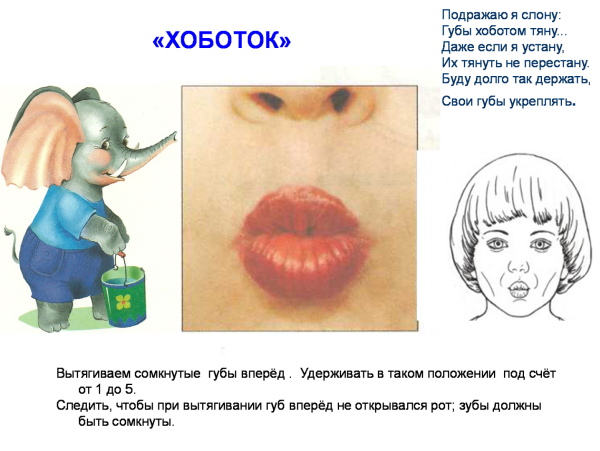 Артикуляционная гимнастика хоботок цель