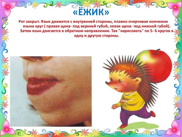 Упражнение Ежик артикуляционная гимнастика