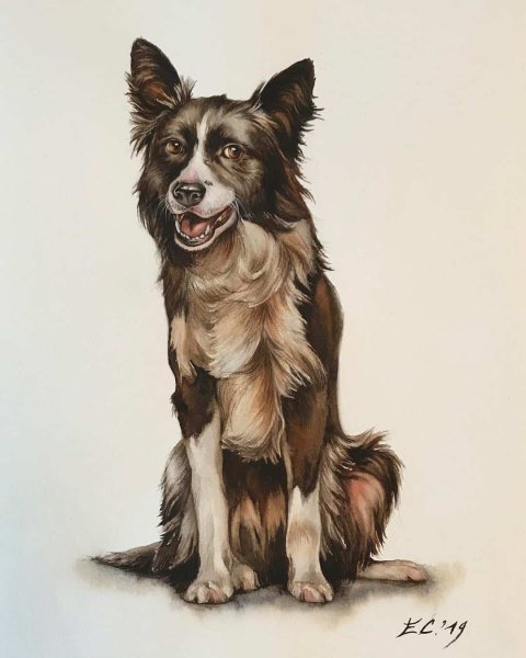 Каштанка рисунок