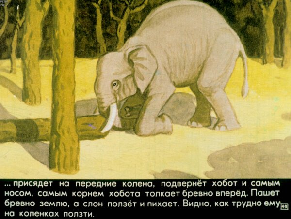 Житков б.с. "про слона"