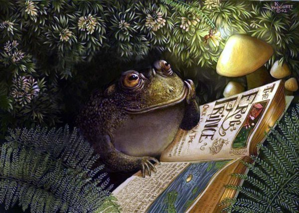 Мудрая жаба