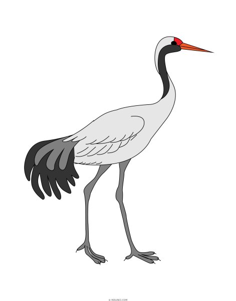 Журавль рисунок