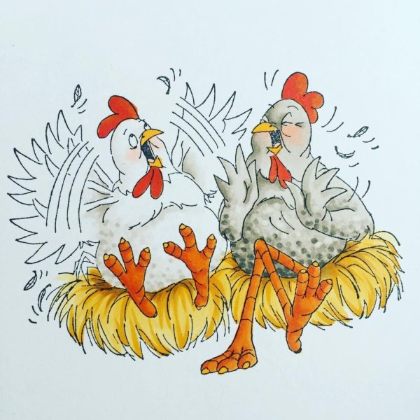 Курица иллюстрация