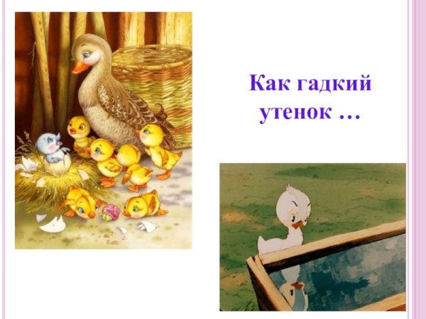 Гадкий утенок и индюк
