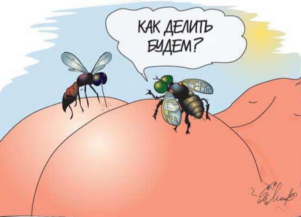 Муха прикол