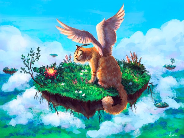 Кот с крыльями