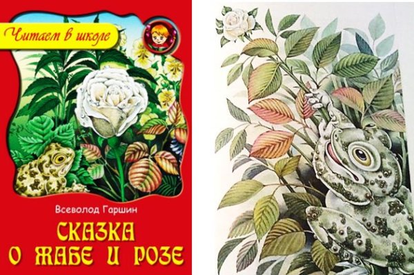 Гаршин сказка о жабе и Розе