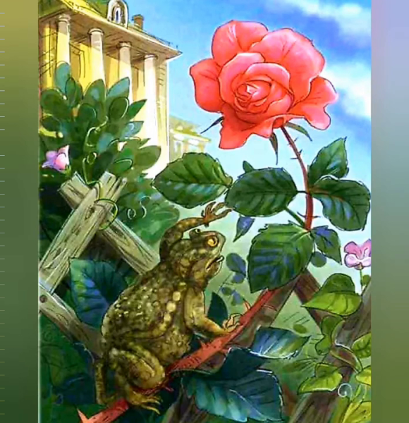 В М Гаршин жаба и роза