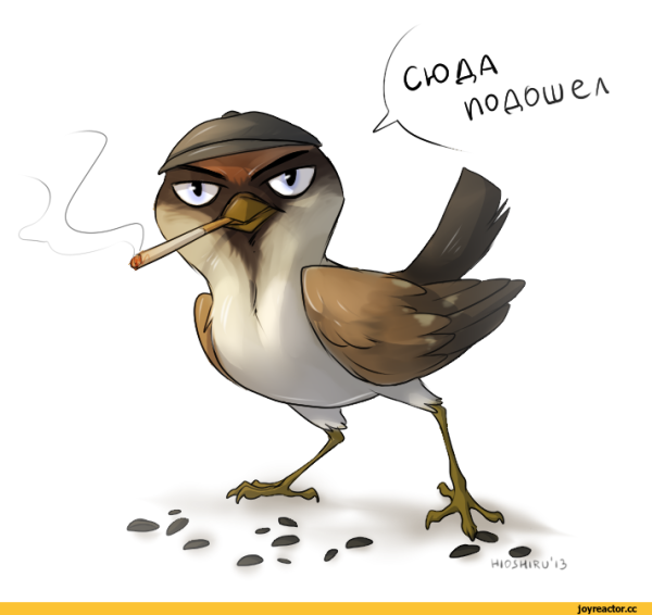 Женщина ранняя пташка карикатура