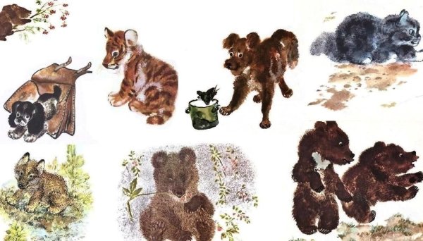 Евгений Иванович Чарушин иллюстрации к книгам