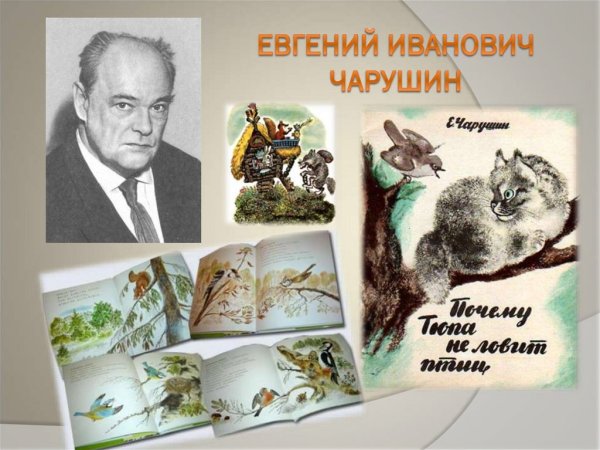 Чарушин Евгений Иванович