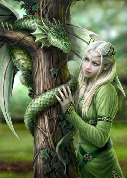 Anne Stokes драконы