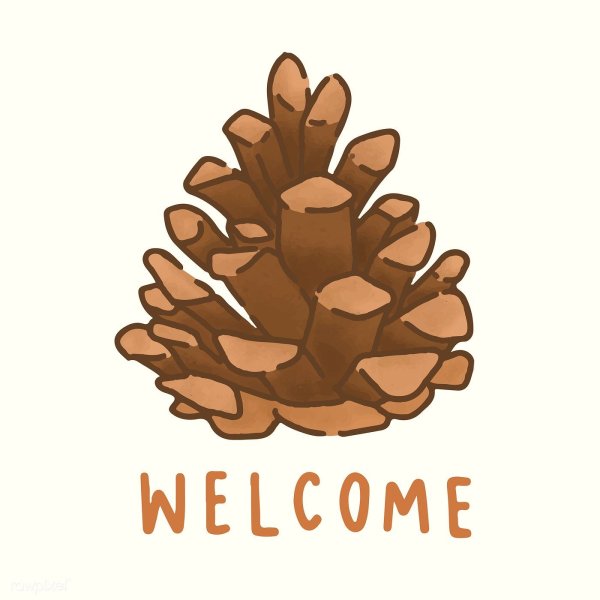 Pinecone комикс