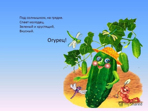 Огурец молодец