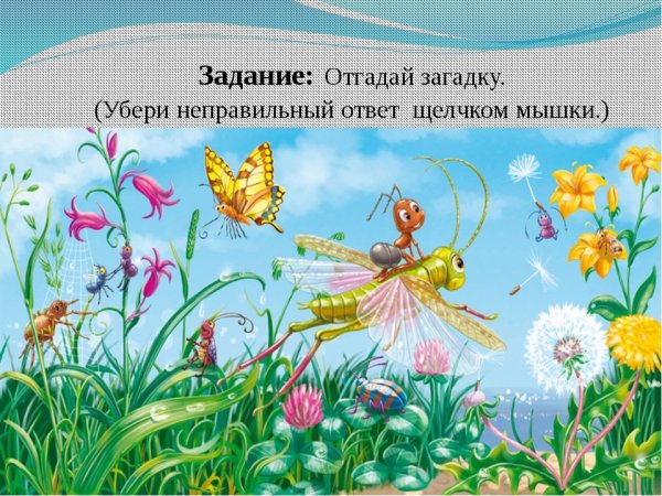 Сказочный мир насекомых