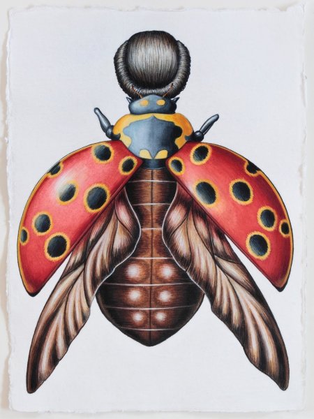 Insects Tales