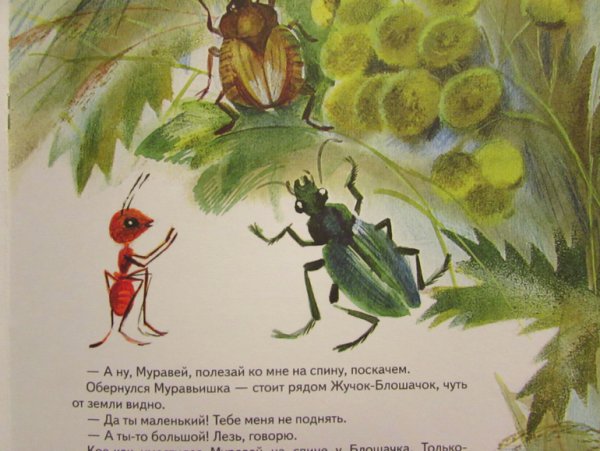 Виталий Бианки путешествие муравьишки