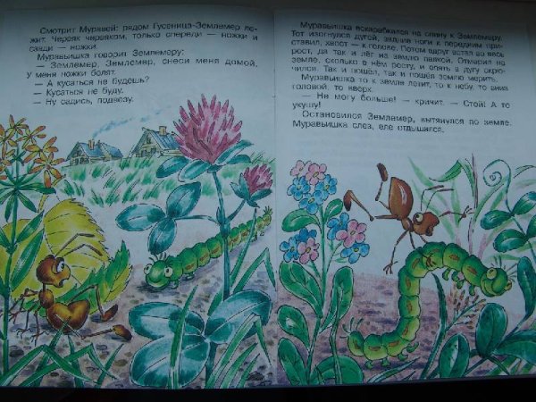 Виталий Бианки муравьишка