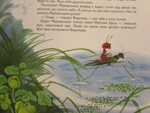 Путешествие муравьишки Бианки
