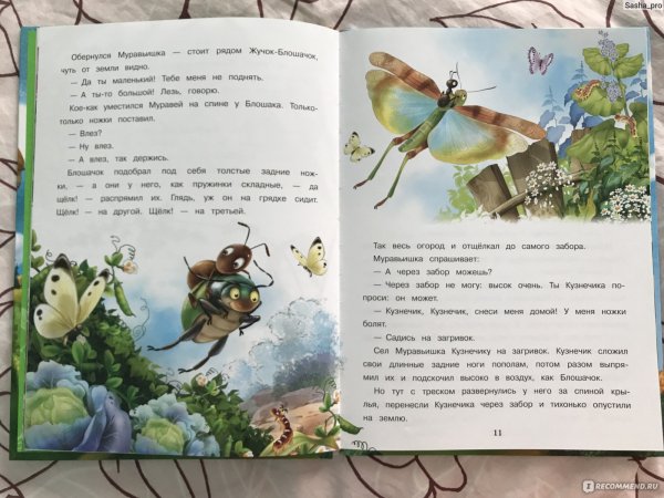 Бианки в. в. "как муравьишка домой спешил"