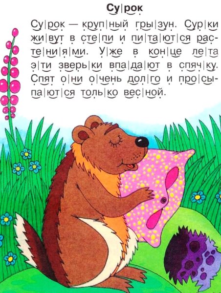 Текс для чтения ПНО слогам