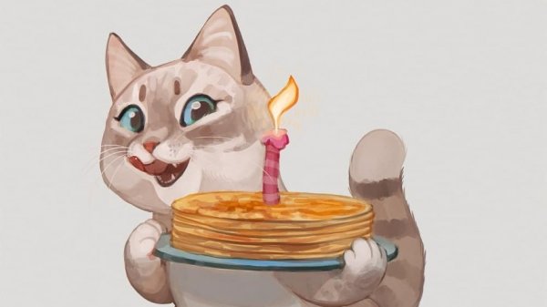 Кот с блинами на Масленицу