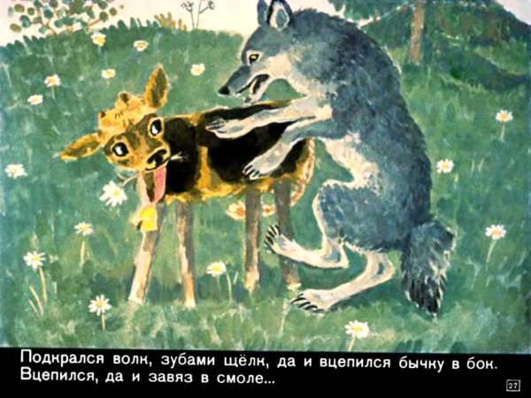 Волчок смоляной бочок