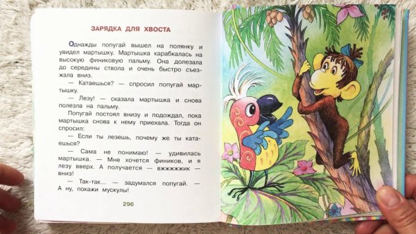 38 Попугаев зарядка для хвоста
