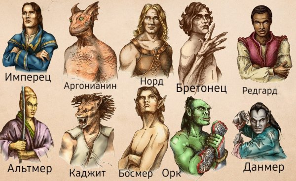 Tes расы арт